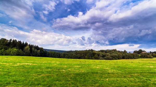 緑の草原と牧歌的な農村景観 — ストック写真