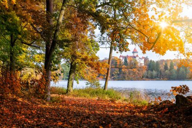 Çek Cumhuriyeti'nde konopiste Kalesi