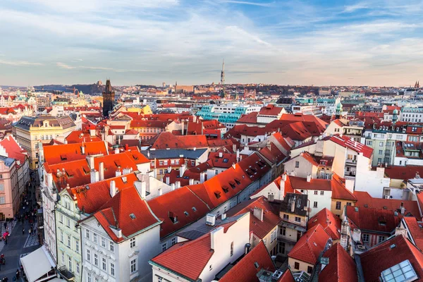 Top view to red roofs skyline of Prague city Czech republic — Stock Photo, Image