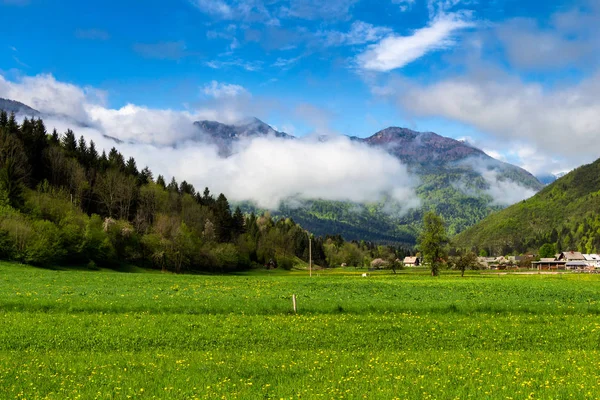 Äng med bergen i bakgrunden — Stockfoto