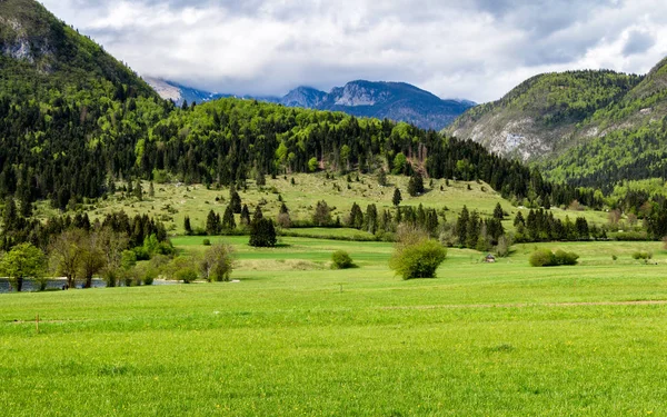 Prado com montanhas ao fundo — Fotografia de Stock