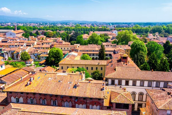 Uitzicht over Italiaanse stad lucca met typische terracotta daken — Stockfoto