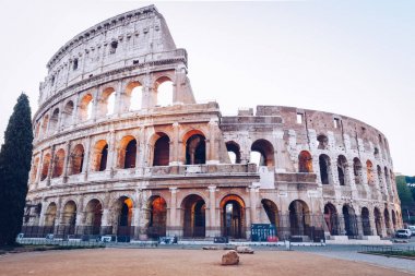 Colosseum sabah ışık. Roma, İtalya