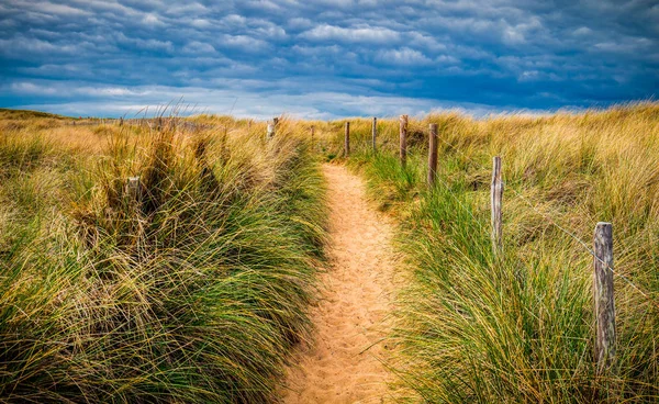 Beachgrass とビーチの砂へのパス。広い砂浜の海辺に方法 — ストック写真