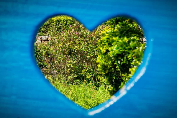 Loch in einer hölzernen Wand Hintergrund — Stockfoto