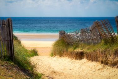 Yolu beachgrass ile plaj kum. Geniş kumlu beache yol