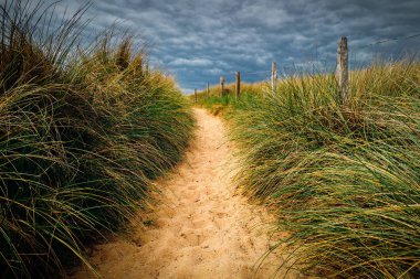 Yol plaja, Quiberon'ın peyzaj, Bretagne (Brittany), Fr