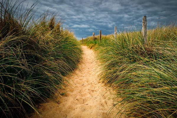 Path to the beach, Quiberon's landscape, Bretagne (Brittany), Fr — Stock Photo, Image