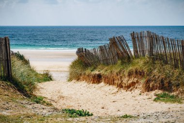 Yolu beachgrass ile plaj kum. Geniş kumlu beache yol