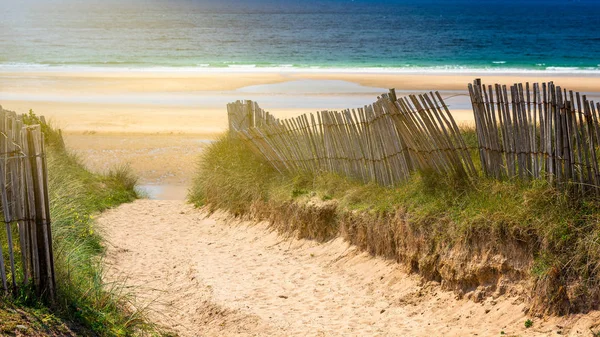 Vei til stranden, Quiberons landskap, Bretagne (Bretagne), Fr. – stockfoto