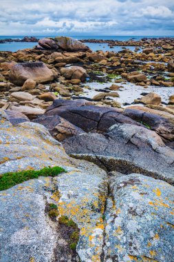Moss taş ve kıyı şeridi Brittany (Bretagne), Fransa