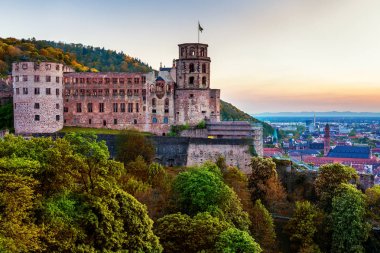 Heidelberg town with the famous old bridge and Heidelberg castle clipart