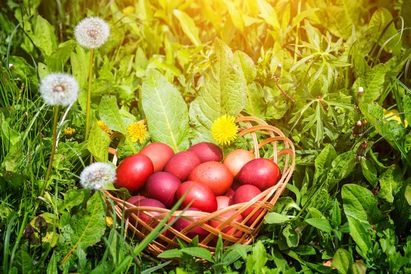 Oeufs de Pâques rouges sur l'herbe avec des fleurs et des balles, naturel — Photo