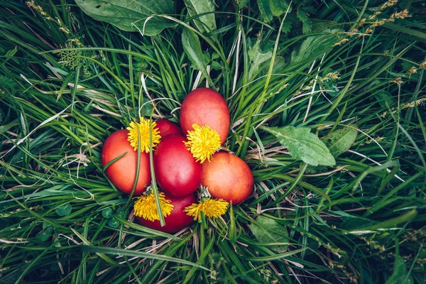 Red easter eggs on the grass with flowers and blowballs, spring — Stock Photo, Image