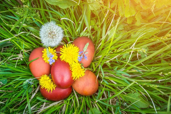 Oeufs de Pâques rouges sur l'herbe avec des fleurs et des soufflets, printemps — Photo