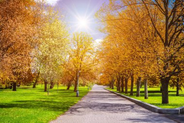 Büyülü sonbahar park yolu ve fantastik kızdırma, masal arazi ile