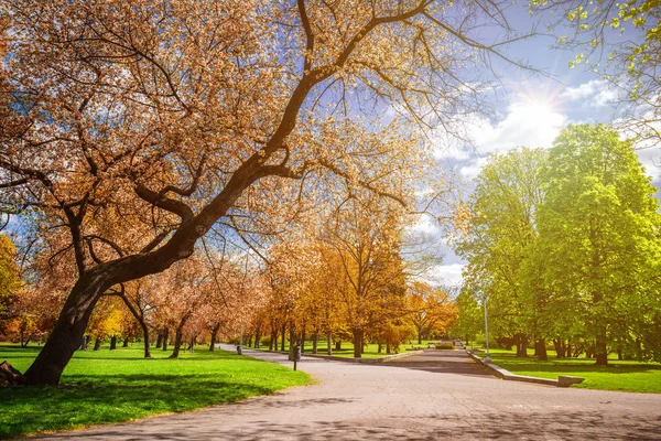 Parque mágico de otoño con sendero y fantástico resplandor, tierra de cuento de hadas — Foto de Stock