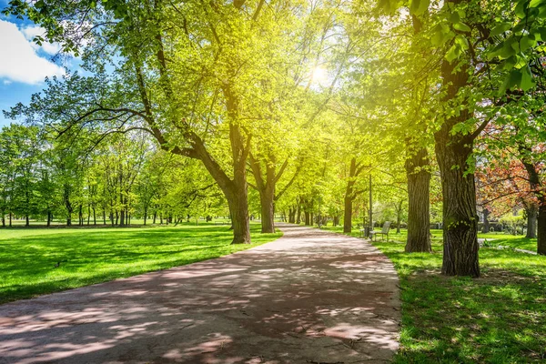 Park i fjädra med grön gräsmatta, solljus. Stone clearanceväg — Stockfoto