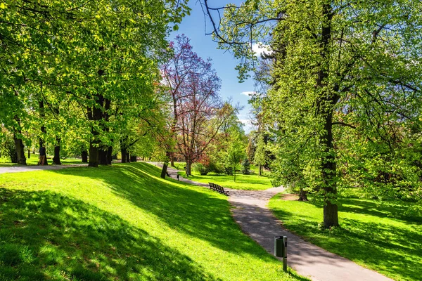 Park im Frühling mit grünem Rasen, Sonnenlicht. Steinweg in — Stockfoto