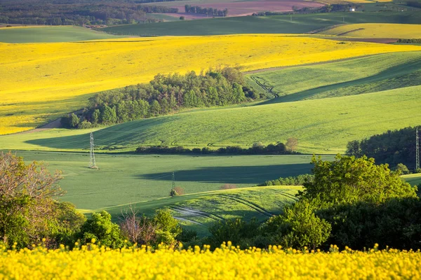 Groen zomerlandschap landschappelijk uitzicht — Stockfoto