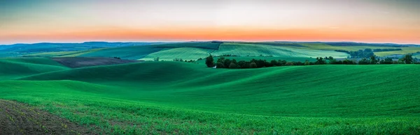 Endless Green Fields, Rolling Hills, Tractor Tracks, Spring Land — Stock Photo, Image