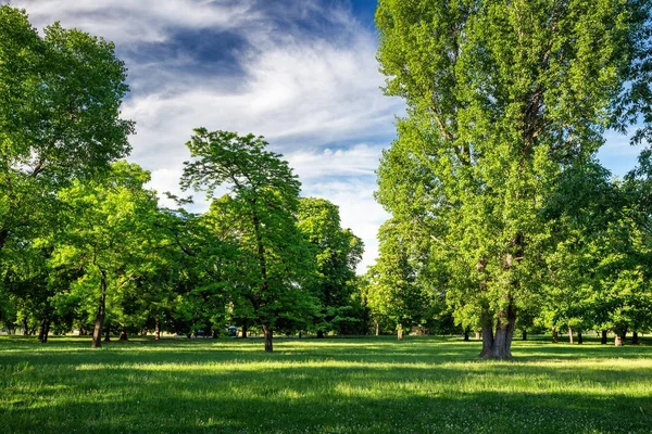 Parc verde cu gazon și copaci într-un oraș — Fotografie, imagine de stoc