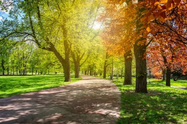 Büyülü sonbahar park yolu ve fantastik kızdırma, masal arazi ile