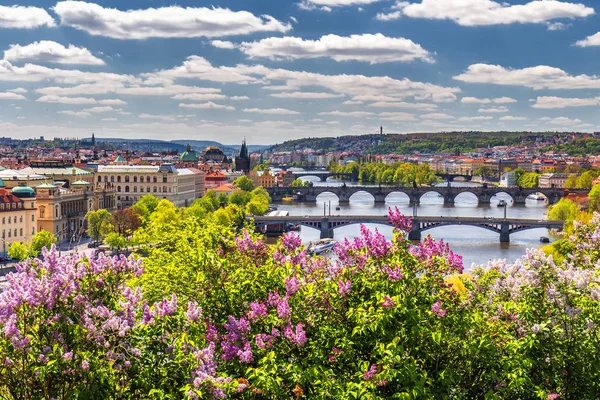 Весна в городе, Прага, Чехия — стоковое фото