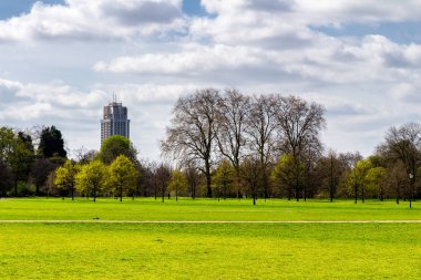 Güneşli yeşil Park yolu