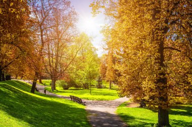 Büyülü sonbahar park yolu ve fantastik kızdırma, masal arazi ile