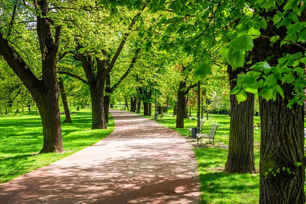 Zobrazit zelené cestě se stromy přes pole v Praze, Česká Re — Stock fotografie