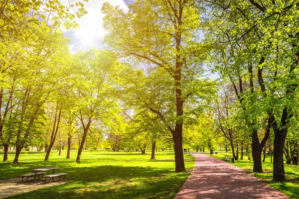 Prag, Çek Re alanlarla ağaçları ile yeşil yol göster