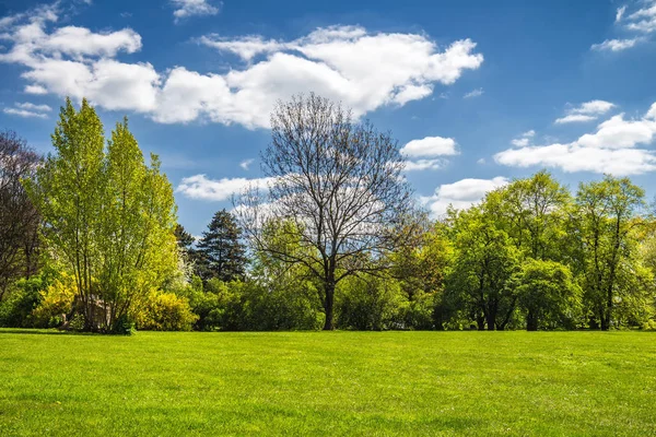 Vista sul sentiero verde con alberi attraverso i campi a Praga, Repubblica Ceca — Foto Stock