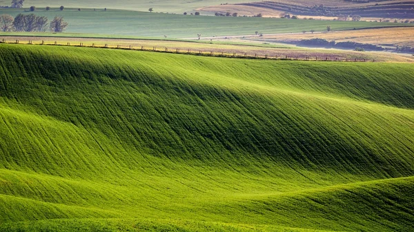 Endlose grüne Felder, sanfte Hügel, Traktorspuren, Frühlingsland — Stockfoto
