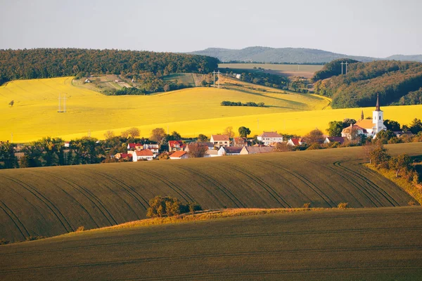 Eindeloze groene velden, glooiende heuvels, trekker Tracks, Spring Land — Stockfoto