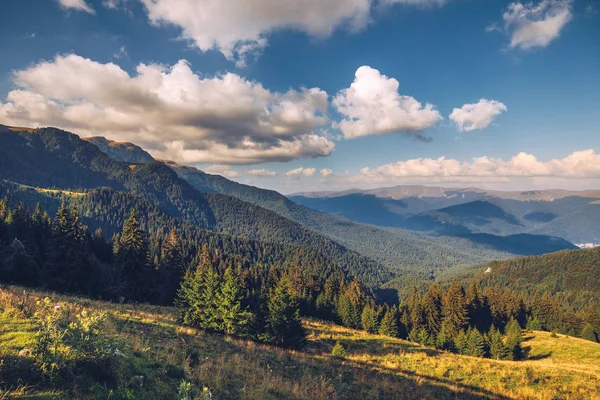 Letní alpské Transylvánie mezník, krajina se zelená pole — Stock fotografie