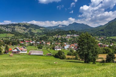Çarpıcı Alp Peyzaj ve yeşil alanları, Transilvanya, Romani