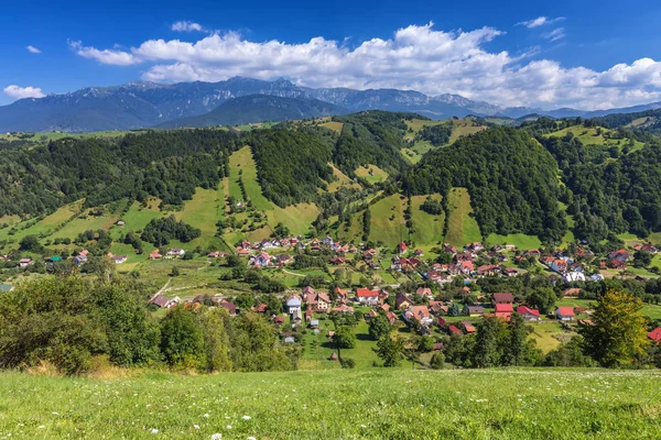 Verano alpino Transilvania hito, paisaje con campos verdes — Foto de Stock