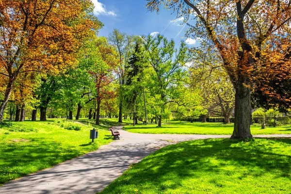 Büyülü sonbahar park yolu ve fantastik kızdırma, masal arazi ile