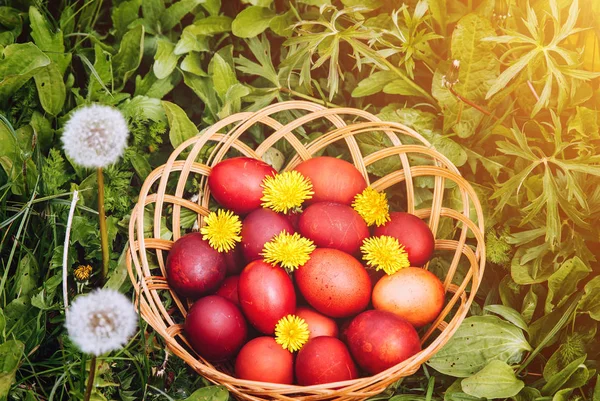 Œufs Pâques Rouges Sur Herbe Avec Des Fleurs Des Billes — Photo