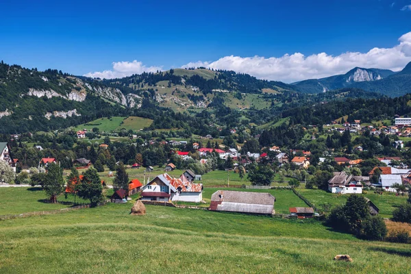 Impresionante Paisaje Alpino Campos Verdes Transilvania Rumania Europa — Foto de Stock
