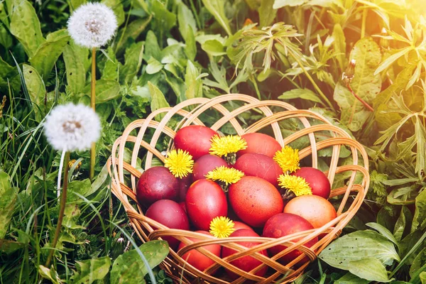 Oeufs de Pâques colorés dans le panier. Joyeux Pâques, religiou chrétien — Photo