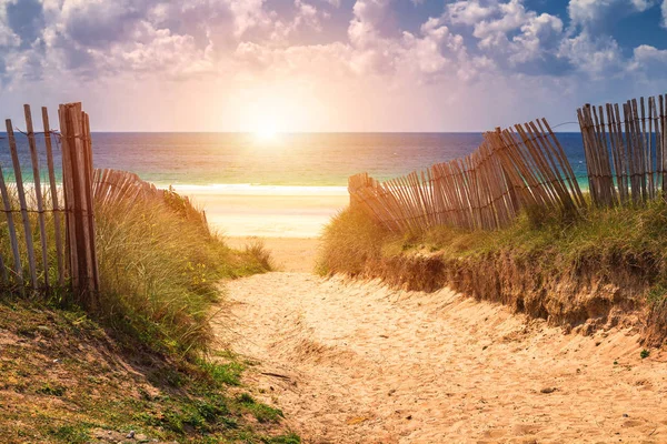 Path to sand beach with beachgrass. Way to the wide sandy beache — Stock Photo, Image