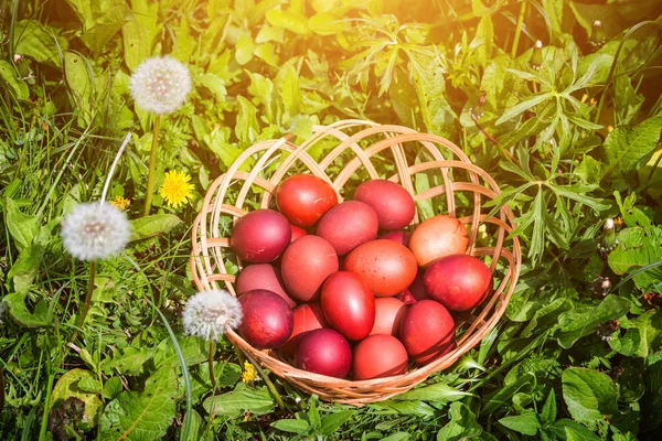 Oeufs de Pâques rouges sur l'herbe avec des fleurs et des balles, naturel — Photo