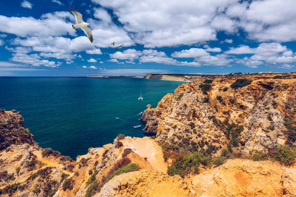 Vista panorâmica, Ponta da Piedade com gaivotas voando sobre rochas — Fotografia de Stock