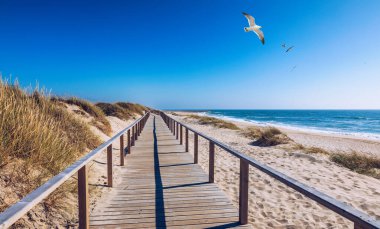 Portekiz, Costa Nova d 'Aveiro' daki ahşap patika. Kum tepeleri üzerinde.