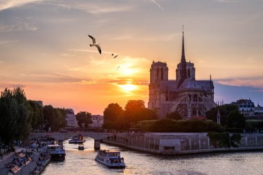 Üzerinde martılar uçan Notre Dame de Paris katedrali, Fran