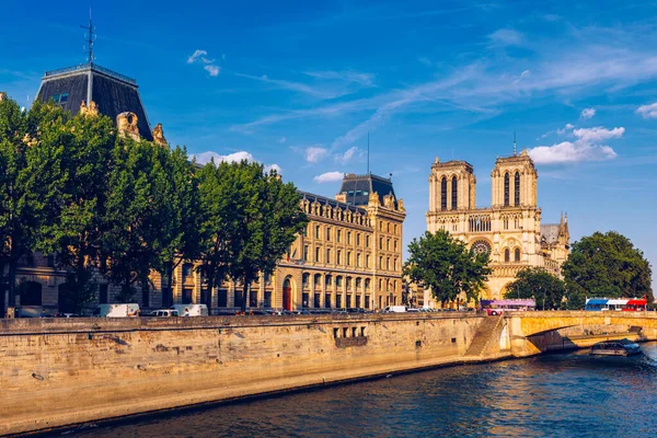 Notre Dame de Paris Katedrali, Fransa. Notre Dame de Paris Cathe — Stok fotoğraf