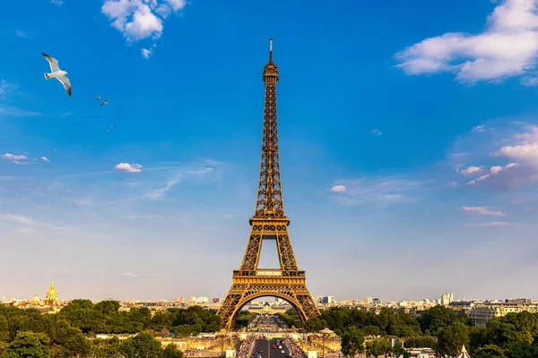 Torre Eiffel en verano con aves voladoras, París, Francia. Escénico — Foto de Stock