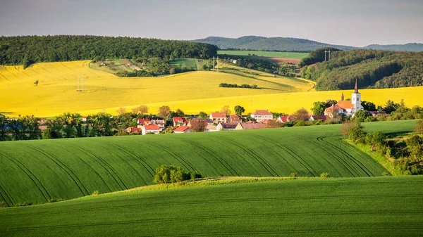 Campi verdi infiniti, Rolling Hills, Tracce di trattori, Terra di primavera — Foto Stock